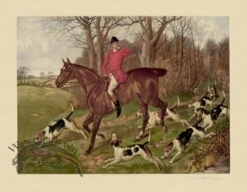Hunting with Hounds